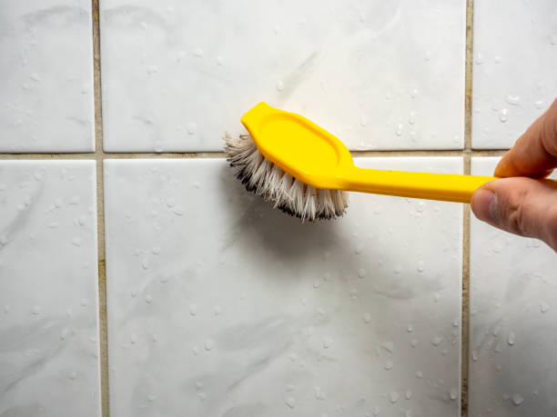 Best Black Mold Remediation in Cadott, WI